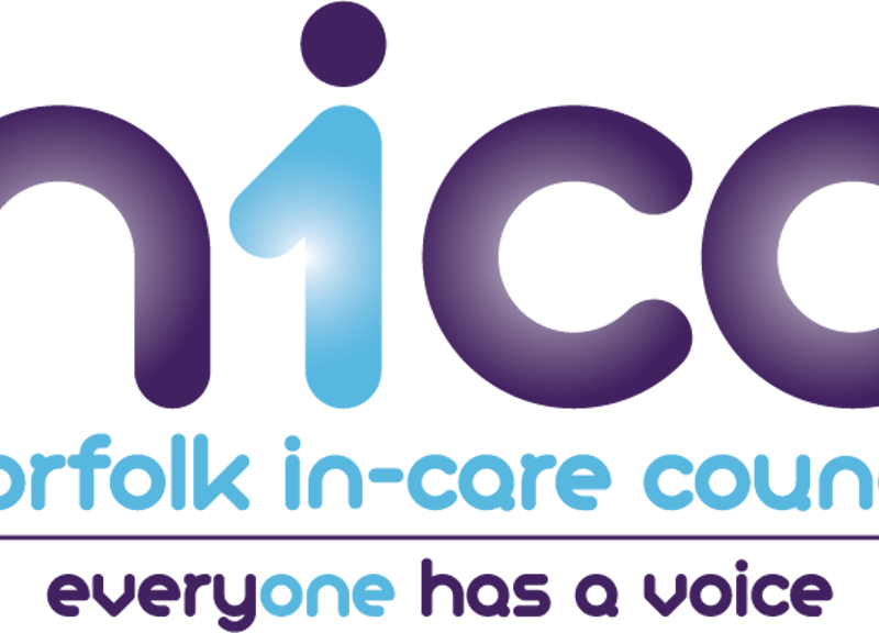 In-Care Council new webpages launched