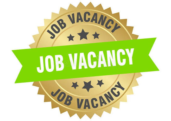 Job Vacancy